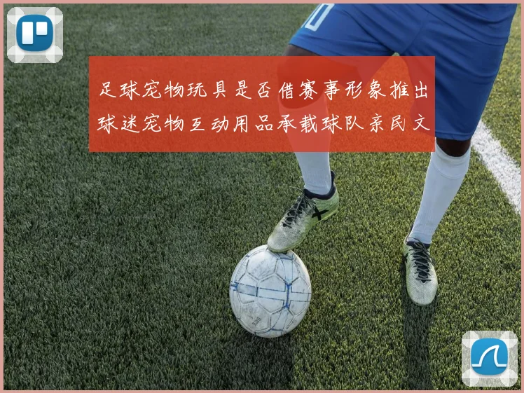 足球宠物玩具是否借赛事形象推出球迷宠物互动用品承载球队亲民文化