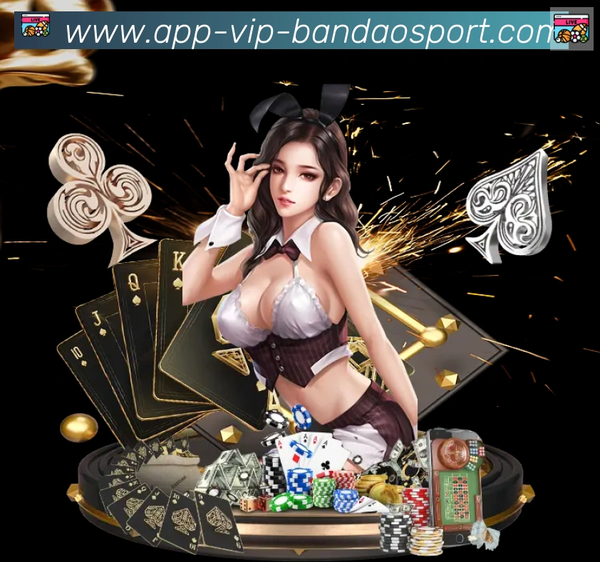 未来规划